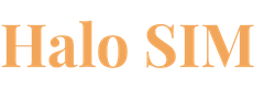 Halo SIM